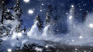 Wintry night