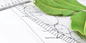 Pathways makes an impact with every client